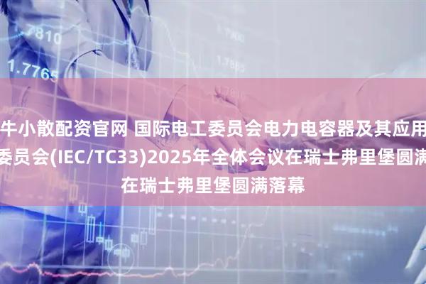 牛小散配资官网 国际电工委员会电力电容器及其应用技术委员会(IEC/TC33)2025年全体会议在瑞士弗里堡圆满落幕