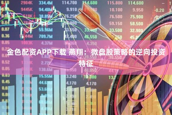 金色配资APP下载 燕翔：微盘股策略的逆向投资特征