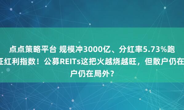 点点策略平台 规模冲3000亿、分红率5.73%跑赢中证红利指数！公募REITs这把火越烧越旺，但散户仍在局外？